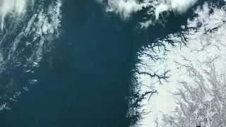 Phytoplankton - excerpt from Planet Ocean the movie