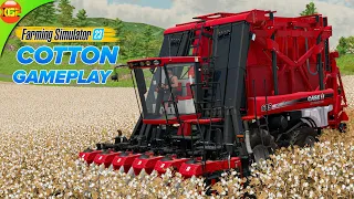 Planting, Harvesting and Selling Cotton to Spinnery | Farming Simulator 23 Gameplay fs23