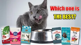 Top 10 Best Cat Foods (We Tested Them All)