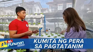 'My Puhunan: Kaya Mo!': Paano kumita sa hydroponics?