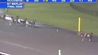 Somebeachsomewhere OSS Super Final 3- Year Old Pacing Colts
