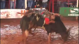 Cássio Dias Barbosa- Rodeio Colorado PR