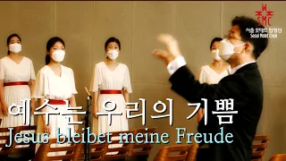 바흐-예수는 우리의 기쁨, 서울모테트합창단 | J.S.Bach-Jesus bleibet meine Freude, Seoul Motet Choir | 코로나19 위로의노래 8