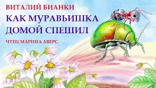 КАК МУРАВЬИШКА ДОМОЙ СПЕШИЛ | Виталий Бианки | СКАЗКИ ДЛЯ ДЕТЕЙ | Аудио сказка на ночь для детей