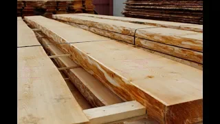 Сибирская лиственница на экспорт. Siberian larch for export. Окорка листвяка для экспорта в Европу.