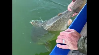 Scott Enloe's Potential World Record Lake Trout