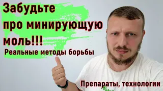 Не оставь минирующей моли шансов! Победа над ТУТОЙ гарантирована