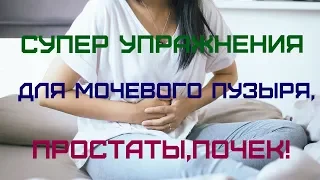 СУПЕР УПРАЖНЕНИЯ ДЛЯ МОЧЕВОГО ПУЗЫРЯ,ПРОСТАТЫ,ПОЧЕК!