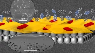 New method for making zeolite nanosheets for ultra-selective membranes