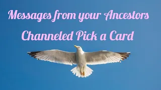 Messages from your Ancestors [pick a card]