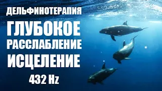 ДЕЛЬФИНОТЕРАПИЯ ✧ Целебные звуки дельфинов ✧ DOLPHIN THERAPY ✧ Healing sounds of dolphins ✧ 432 Hz