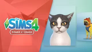 Создайте питомца в «The Sims 4 Кошки и собаки»