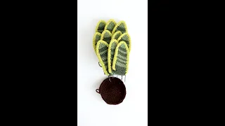 Free Snake Plant Crochet Pattern - Amigurumi House Plant