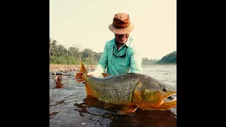 Dorado Happiness — Fly Fishing for Dorado in Bolivia