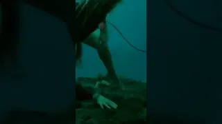 АКУЛА сбивает серфера #shorts #shark