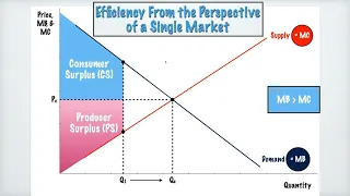 PF3-1: Efficiency From the Perspective of a Single Market