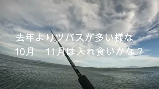 ショアジギング始めるなら　今でしょ　#大阪湾 　＃初心者　＃ショアジギング　＃青物