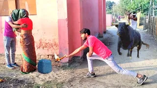 Must watch Very spacial New funny comedy videos amazing funny video 2022🤪 Episode 35 #funny dabang#