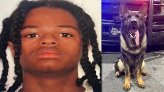 Suspect wanted in deadly K-9 shooting now dead | FOX 5 News