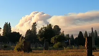 Sonoma county 2020 wildfires