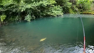 Pescando en Río de montaña #1 / Eclosión de perla Máxima | Temporada pesca 2020