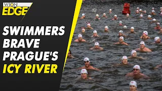 Hundreds of swimmers braved the freezing waters for annual competition | WION Edge