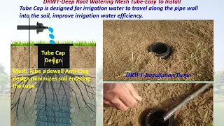 DRWT Deep Root Watering Tube mp4