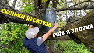 Безкоштовні бджоли! Де їх брати!? Пасіка на халяву!