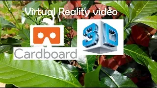 3D Nature Compilation video | 3D Side by Side SBS VR Active Passive