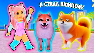 Я СТАЛА ШПИЦОМ В РОБЛОКС ! ПОСТРОИЛА ДВУХЭТАЖНЫЙ ДОМ В ROBLOX | Puppy Game