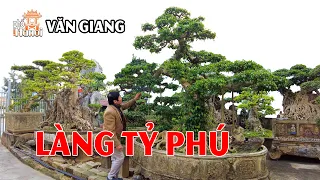 Có Ai Chịu Chơi Như Bác Ba Lần Hoãn Không Làm Nhà Vì Mê Cây Cảnh Bonsai Làm Tỷ Phú Có Dễ? #hnp