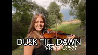 Dusk till dawn - Zayn Malik - Violin Cover