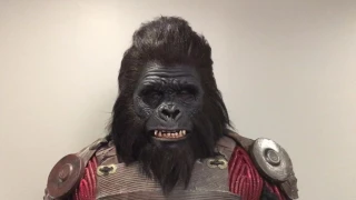 Gorilla. Full silicone mask