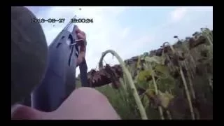 (18+) Сезон 2016 на ГОРЛИЦУ (часть 2)  Hunting for game birds - 2016...