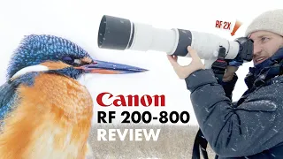 Canon RF 200-800 Praxis Test | Besser als Supertele?