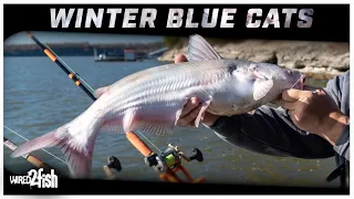 How to Catch Blue Catfish in the Winter