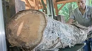 the process of cutting teak wood to make furniture material belonging to a furniture owner