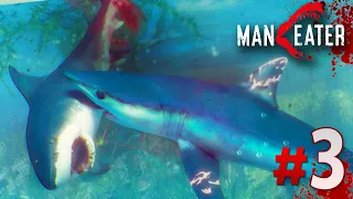 A SHARK Vs SHARK WORLD!!! - Maneater Gameplay | Part 3