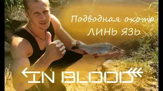 ПОДВОДНАЯ ОХОТА  2021(Разнорыб - Язь, Линь) IN BLOOD