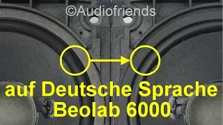 B&O Beolab 6000 Lautsprecher Sicken selber reparieren.
