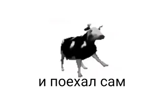 Польская корова (Перевод)