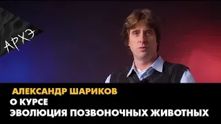 Александр Шариков| Курс "Эволюция позвоночных животных"