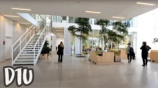 Technical University of Denmark - DTU， 4K