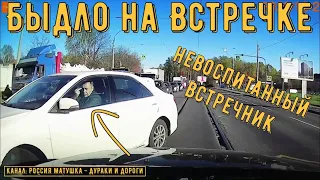 Быдло на встречке #163! Подборка на видеорегистратор!