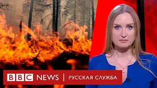 Россия в огне. Что делает власть? | Новости