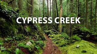 Lush Forest Virtual Hike through Cypress Creek trails in West Vancouver, BC Canada 4K