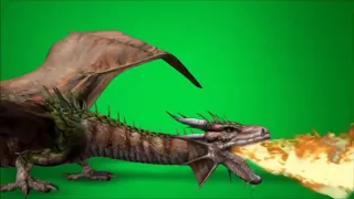 Dragon green screen effect