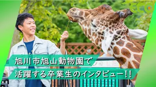 旭川市旭山動物園で飼育員として活躍する卒業生-若山さんインタビュー！