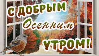 С ДОБРЫМ ОСЕННИМ УТРОМ!/ДОБРОЕ УТРО!/САМОЕ КРАСИВОЕ ПОЖЕЛАНИЕ ДОБРОГО УТРА!