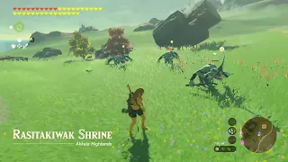 Bokoblin vs Bokoblin   the Strongest will Win